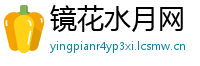 镜花水月网